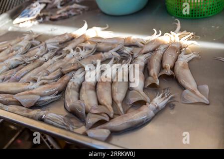 Calamari, vendita di cibo su rotaie, mercato ferroviario di Maeklong, mercato ferroviario di Talad Rom Hub, vicino a Bangkok, Samut Songkhram, Thailandia, Asia Foto Stock