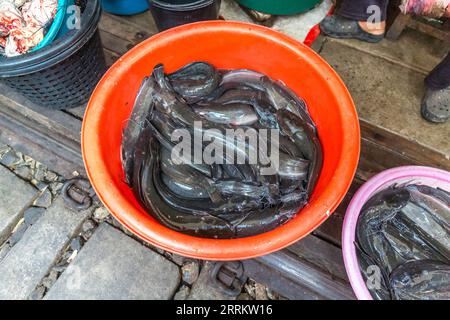 Vendita di pesce e frutti di mare, vendita di prodotti alimentari su rotaie, mercato ferroviario di Maeklong, mercato ferroviario di Talad Rom Hub, vicino a Bangkok, Samut Songkhram, Thailandia, Asia. Foto Stock