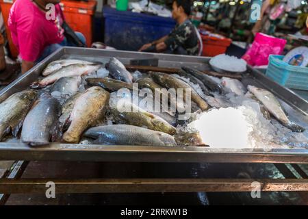 Vari tipi di pesce, che vendono cibo su rotaie, mercato ferroviario di Maeklong, mercato ferroviario di Talad Rom Hub, vicino a Bangkok, Samut Songkhram, Thailandia, Asia. Foto Stock