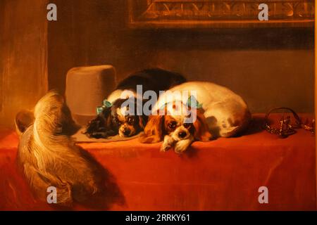 Dipinto intitolato "King Charles Spaniels (The Cavalier's Pets)" di Edwin Landseer datato 1845 Foto Stock