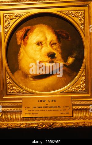 Dipinto intitolato 'A Jack in Office' di Edwin Landseer datato metà 19th ° secolo Foto Stock