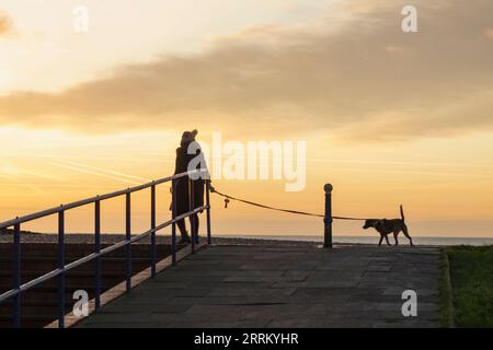 Inghilterra, Sussex, East Sussex, Eastbourne, Woman Walking Dog on Beach at Dawn Foto Stock