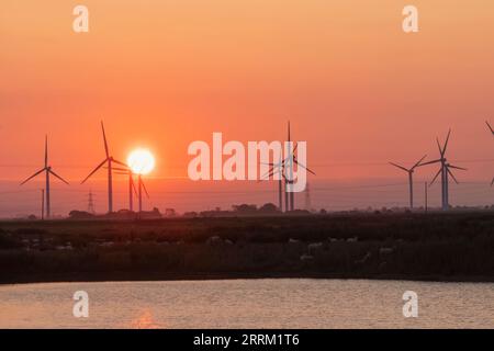 Inghilterra, Kent, Romney Marsh, Sunrise e Onshore Wind Turbines Foto Stock