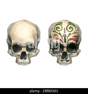 Vista frontale dei teschi umani con ornamenti colorati e senza. Illustrazione ad acquerello disegnata a mano per Halloween, il giorno dei morti, dia de los muertos. Imposta Foto Stock