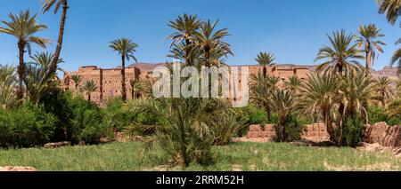 Terreno agricolo di fronte al pittoresco villaggio berbero di Tamenougalt nella valle del Draa, un turista che è guidato da un berbero al villaggio, Marocco Foto Stock