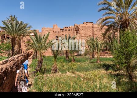 Terreno agricolo di fronte al pittoresco villaggio berbero di Tamenougalt nella valle del Draa, un turista che è guidato da un berbero al villaggio, Marocco Foto Stock