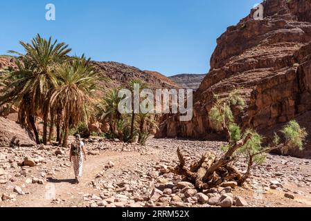 Escursioni attraverso il bellissimo paesaggio della valle del Draa vicino al villaggio di Tizgui, Marocco Foto Stock