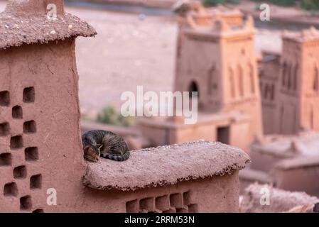 Case storiche panoramiche in terra battuta nell'antica città dell'UNESCO di Ait ben Haddou, in Marocco Foto Stock