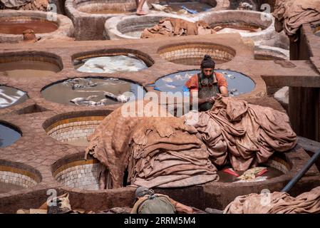 FES, Marocco, famosa conceria nella medina di FES, dove la pelle viene lavorata per generazioni, Marocco Foto Stock