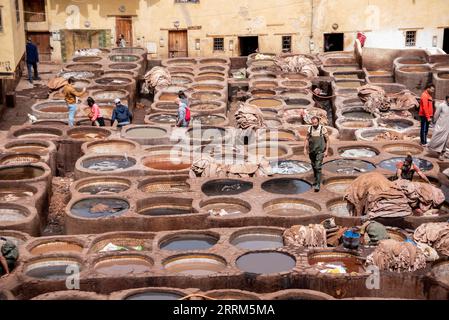 FES, Marocco, famosa conceria nella medina di FES, dove la pelle viene lavorata per generazioni, Marocco Foto Stock