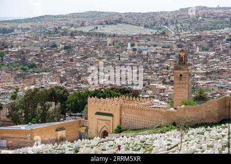 Vista panoramica panoramica della medina di Fes, vista dalle tombe Marinide, Marocco Foto Stock