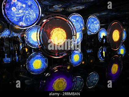 221014 -- ROMA, 14 ottobre 2022 -- i visitatori assistono a un'installazione d'arte durante la mostra Van Gogh, capolavori del Museo Kroller-Muller di Roma, Italia, 13 ottobre 2022. La mostra durerà fino al 26 marzo 2023. ITALY-ROME-VAN GOGH-EXHIBITION JinxMamengni PUBLICATIONxNOTxINxCHN Foto Stock