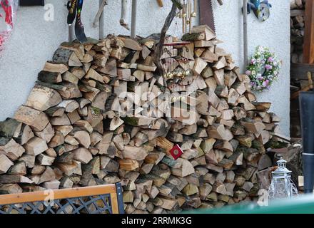 221103 -- BERLINO, 3 novembre 2022 -- la legna da ardere è immagazzinata fuori da una casa a Berlino, capitale della Germania, 1 novembre 2022. In risposta all'aumento dei prezzi dell'energia, alcuni residenti di Berlino hanno iniziato a immagazzinare legna da ardere per il prossimo inverno. GERMANIA-BERLINO-INVERNO-LEGNA DA ARDERE RenxPengfei PUBLICATIONxNOTxINxCHN Foto Stock