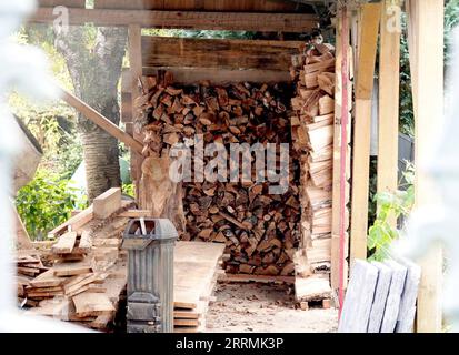 221103 -- BERLINO, 3 novembre 2022 -- la legna da ardere è immagazzinata fuori da una casa a Berlino, capitale della Germania, 1 novembre 2022. In risposta all'aumento dei prezzi dell'energia, alcuni residenti di Berlino hanno iniziato a immagazzinare legna da ardere per il prossimo inverno. GERMANIA-BERLINO-INVERNO-LEGNA DA ARDERE RenxPengfei PUBLICATIONxNOTxINxCHN Foto Stock