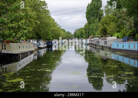 Barche dei canali a Little Venice, Londra Foto Stock