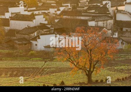 221125 -- HUANGSHAN, 25 novembre 2022 -- questa foto scattata il 24 novembre 2022 mostra il paesaggio nel villaggio Lucun della contea di Yixian nella città di Huangshan, nella provincia di Anhui nella Cina orientale. CHINA-ANHUI-HUANGSHAN-SCENARIO CN GuoxChen PUBLICATIONxNOTxINxCHN Foto Stock