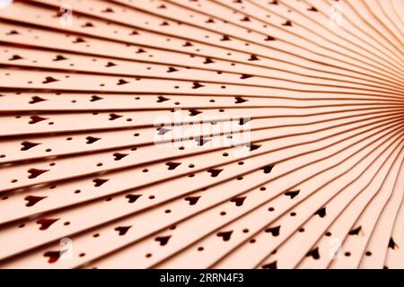 Struttura della ventola con cuori aperti Foto Stock