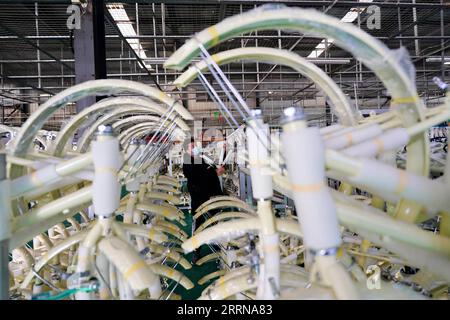 221228 -- PECHINO, 28 dicembre 2022 -- Un lavoratore controlla la qualità dei prodotti in una fabbrica di un produttore di biciclette e passeggini nella contea di Pingxiang, nella provincia di Hebei, nella Cina settentrionale, 27 dicembre 2022. MU Yu Xinhua titoli: Le risposte COVID-19 attestano la forza e la resilienza della Cina MouxYu PUBLICATIONxNOTxINxCHN Foto Stock