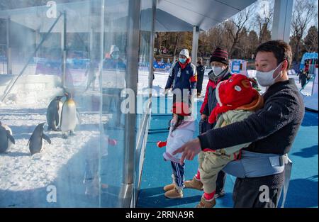 221228 -- PECHINO, 28 dicembre 2022 -- i visitatori guardano i pinguini in un carnevale di ghiaccio e neve al parco Taormina di Pechino, capitale della Cina, 28 dicembre 2022. CHINA-BEIJING-PARK-ICE AND SNOW-FUN CN CHENXZHONGHAO PUBLICATIONXNOTXINXCHN Foto Stock