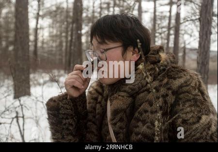 230113 -- GENHE, 13 gennaio 2023 -- Juele odora un pezzo di corteccia d'albero nella catena forestale di Jinhe vicino a Genhe City, regione autonoma della Mongolia interna della Cina settentrionale, 12 gennaio 2023. Ogni due o tre giorni, Juele Bulituotian si dirigerà verso la catena forestale di Jinhe a circa 80 chilometri da Genhe City. E' qui che il 39enne allevatore Aoluguya Ewenki, che indossa un tradizionale cappotto di pelliccia, troverà le sue renne da foraggiatore. Invece di tenere le renne in un fienile, i pastori Ewenki lasciano che gli animali vivano nella foresta e li controllano ogni due giorni. Juele possiede oltre 60 renne. Chiamerà la sua renna nel Foto Stock