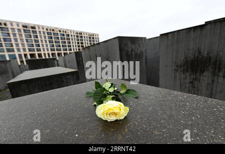 230128 -- BERLINO, 28 gennaio 2023 -- Un fiore è visto al Memoriale degli ebrei assassinati d'Europa a Berlino, in Germania, 27 gennaio 2023. Il memoriale, situato nel centro di Berlino, fu costruito per ricordare circa 6 milioni di ebrei uccisi dai nazisti durante la seconda guerra mondiale Nel 2005, l'Assemblea generale delle Nazioni Unite ha adottato una risoluzione che ha designato il 27 gennaio come giornata internazionale della commemorazione in memoria delle vittime dell'Olocausto. GERMANIA-BERLINO-GIORNATA INTERNAZIONALE DELLA MEMORIA DELL'OLOCAUSTO RENXPENGFEI PUBLICATIONXNOTXINXCHN Foto Stock