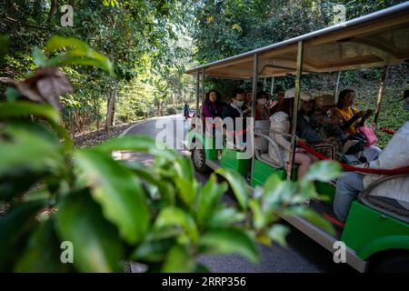 230214 -- XISHUANGBANNA, 14 febbraio 2023 -- i turisti sono fotografati presso il giardino botanico tropicale Xishuangbanna dell'Accademia cinese delle scienze CAS nella contea di Mengla, prefettura autonoma di Xishuangbanna dai, provincia dello Yunnan della Cina sud-occidentale, 12 febbraio 2023. Xishuangbanna ha ricevuto 2,7175 milioni di visite durante la festa del Festival di Primavera di quest'anno, in aumento del 554,51% anno dopo anno, secondo il dipartimento di cultura e turismo locale. CINA-YUNNAN-XISHUANGBANNA-TURISMO CN ChenxXinbo PUBLICATIONxNOTxINxCHN Foto Stock