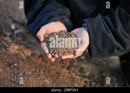 230216 -- YUNCHENG, 16 febbraio 2023 -- Lin Xiaolin sceglie il fango per produrre la pietra d'inchiostro di Chengni nel villaggio Guangcun della contea di Xinjiang a Yuncheng, provincia dello Shanxi della Cina settentrionale, 14 febbraio 2023. La pietra a getto di Chengni, una delle quattro famose pietre a getto d'inchiostro in Cina, è nota per la sua consistenza fine che può ridurre i danni arrecati al pennello. A causa di varie ragioni, l'artigianato onorato nel tempo della fabbricazione di pietra a getto di Chengni era stato una volta perso e fu poi riportato da Lin Yongmao e suo figlio Lin Tao nella contea di Xinjiang. Ci vogliono più di un anno e più di 10 passi per realizzare una pietra a getto d'inchiostro Chengni. Nel 2008, l'artigianato di fare Chengni Foto Stock