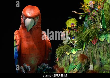 230219 -- RIO DE JANEIRO, 19 febbraio 2023 -- i festaioli partecipano alla sfilata di carnevale al Sambadrome di Rio de Janeiro, Brasile, 18 febbraio 2023. Il carnevale della città brasiliana è il più grande festival popolare del paese sudamericano e una delle più grandi celebrazioni di carnevale al mondo. Quest'anno, l'evento torna alla sua data tradizionale per la prima volta dall'epidemia di COVID-19 nel 2020, dopo che si è tenuto nell'aprile 2022. In totale, più di 400 parate di comparse, o gruppi di musicisti e ballerini, intratterranno i partecipanti per le strade di Rio de Janeiro. BRASILE-RIO DE J. Foto Stock