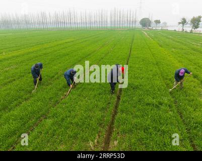 230220 -- SUZHOU, 20 febbraio 2023 -- questa foto aerea scattata il 19 febbraio 2023 mostra i contadini che puliscono i fossati in un campo di grano nella città di Jinxi nella provincia del Jiangsu della Cina orientale. All'inizio della primavera, con l'aumento graduale delle temperature, gli agricoltori di tutto il paese sono attivamente impegnati nell'aratura primaverile e nei preparativi per le attività agricole. Foto di /Xinhua CHINA-SPRING-FARMING CN WangxXuzhong PUBLICATIONxNOTxINxCHN Foto Stock