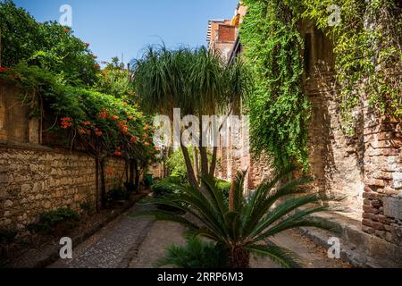 pareti in pietra e mattoni lungo marciapiede pavimentato con alberi in una soleggiata giornata estiva Foto Stock