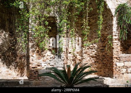 pareti in pietra e mattoni lungo marciapiede pavimentato con alberi in una soleggiata giornata estiva Foto Stock