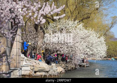 230315 -- PECHINO, 15 marzo 2023 -- i turisti scattano foto al Palazzo d'Estate a Pechino, capitale della Cina, il 15 marzo 2023. CHINA-BEIJING-SUMMER PALACE-SPRING CN CHENXYEHUA PUBLICATIONXNOTXINXCHN Foto Stock