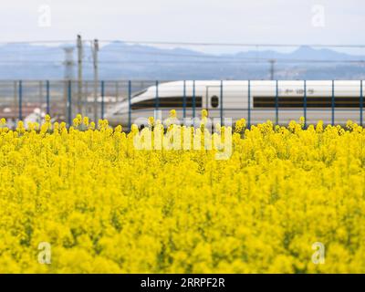 230318 -- HANZHONG, 18 marzo 2023 -- questa foto scattata il 17 marzo 2023 mostra un treno ad alta velocità che passa davanti a un campo di fiori di cole nella contea di Yangxian della città di Hanzhong, nella provincia dello Shaanxi della Cina nordoccidentale. Man mano che la temperatura aumenta gradualmente, i fiori di cole in piena fioritura hanno attirato molti turisti a Hanzhong. Negli ultimi anni, la rivitalizzazione rurale di Hanzhong è stata fortemente promossa dallo sviluppo dell'agricoltura ecologica e del turismo. Foto di /Xinhua CHINA-SHAANXI-HANZHONG-COLE FLOWERS CN ZouxJingyi PUBLICATIONxNOTxINxCHN Foto Stock