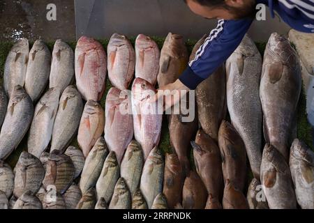 230404 -- GAZA, 4 aprile 2023 -- Un pescatore palestinese mostra pesce fresco durante l'asta quotidiana del pesce in un mercato del pesce nella città di Gaza, 4 aprile 2023. Foto di /Xinhua MIDEAST-GAZA CITY-DAILY LIFE-FISH RizekxAbdeljawad PUBLICATIONxNOTxINxCHN Foto Stock