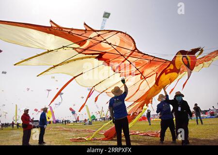 230415 -- WEIFANG, 15 aprile 2023 -- la gente cerca di far volare un aquilone a forma di fenice durante il 40° Weifang International Kite Festival a Weifang, nella provincia dello Shandong della Cina orientale, 15 aprile 2023. La gara di volo aquilone del 40° Weifang International Kite Festival ha preso il via sabato. CHINA-SHANDONG-WEIFANG-KITE FESTIVAL CN LIXZIHENG PUBLICATIONXNOTXINXCHN Foto Stock