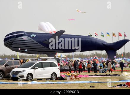 230415 -- WEIFANG, 15 aprile 2023 -- Un aquilone a forma di balena è raffigurato durante il 40° Weifang International Kite Festival a Weifang, nella provincia dello Shandong della Cina orientale, 15 aprile 2023. La gara di volo aquilone del 40° Weifang International Kite Festival ha preso il via sabato. CHINA-SHANDONG-WEIFANG-KITE FESTIVAL CN LIXZIHENG PUBLICATIONXNOTXINXCHN Foto Stock