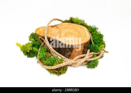 Sezione trasversale del tronco dell'albero con corda di iuta e lichene, sfondo vuoto per la visualizzazione del prodotto, isolato su sfondo bianco Foto Stock