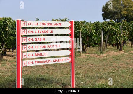 Pomerol. Nelle vigne e nei vigneti del Pomerol. Produzione di vino rosso. Vite e vigneto di vini Bordeaux. Pomerol, Gironde, Francia, Europa. Foto Stock