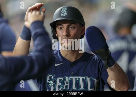 St Petersburg, FL USA; l'esterno dei Seattle Mariners Dominic Canzone (8) si congratula per il dugout dopo aver segnato punti durante una partita della MLB contro i Ta Foto Stock