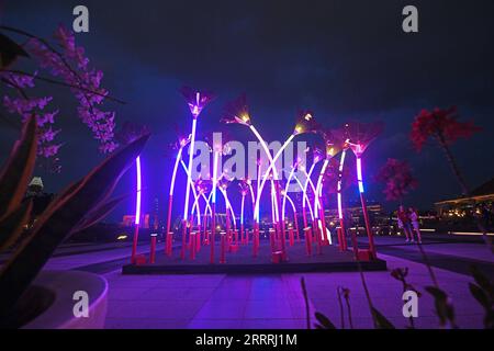 230530 -- SINGAPORE, 30 maggio 2023 -- questa foto scattata il 30 maggio 2023 mostra installazioni luminose esposte durante un'anteprima dello spettacolo di luci i Light Singapore nell'area di Marina Bay a Singapore. Foto di /Xinhua SINGAPORE-LIGHT SHOW-PREVIEW ThenxChihxWey PUBLICATIONxNOTxINxCHN Foto Stock