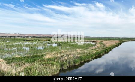 230604 -- BAYANNUR, 4 giugno 2023 -- questa foto aerea scattata il 4 giugno 2023 mostra il paesaggio del lago Ulan Suhai a Urad Front Banner a Bayannur, nella regione autonoma della Mongolia interna della Cina settentrionale. CHINA-INNER MONGOLIA-ULAN SUHAI LAKE-LANDSCAPE CN BEIXHE PUBLICATIONXNOTXINXCHN Foto Stock