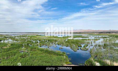 230604 -- BAYANNUR, 4 giugno 2023 -- questa foto aerea scattata il 4 giugno 2023 mostra il paesaggio del lago Ulan Suhai a Urad Front Banner a Bayannur, nella regione autonoma della Mongolia interna della Cina settentrionale. CHINA-INNER MONGOLIA-ULAN SUHAI LAKE-LANDSCAPE CN BEIXHE PUBLICATIONXNOTXINXCHN Foto Stock