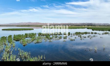 230604 -- BAYANNUR, 4 giugno 2023 -- questa foto aerea scattata il 4 giugno 2023 mostra il paesaggio del lago Ulan Suhai a Urad Front Banner a Bayannur, nella regione autonoma della Mongolia interna della Cina settentrionale. CHINA-INNER MONGOLIA-ULAN SUHAI LAKE-LANDSCAPE CN BEIXHE PUBLICATIONXNOTXINXCHN Foto Stock