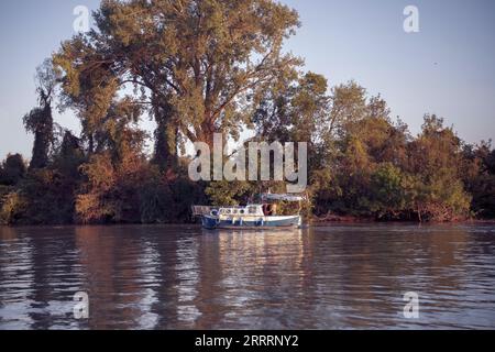 Una barca a motore che naviga lungo il Danubio Foto Stock