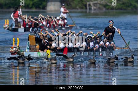 230618 -- TORONTO, 18 giugno 2023 -- i partecipanti gareggiano durante il Toronto International Dragon Boat Race Festival 2023 a Toronto, Canada, il 17 giugno 2023. Questo evento annuale di due giorni ha avuto inizio qui sabato, con centinaia di partecipanti provenienti da tutto il mondo. Foto di /Xinhua CANADA-TORONTO-DRAGON BOAT RACE FESTIVAL ZouxZheng PUBLICATIONxNOTxINxCHN Foto Stock