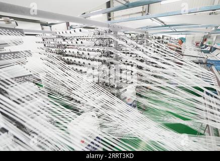 230628 -- TANGSHAN, 28 giugno 2023 -- un dipendente lavora in una società di imballaggio nella contea di Luannan, nella provincia di Hebei della Cina settentrionale, 27 giugno 2023. La contea di Luannan si è impegnata in uno sviluppo di alta qualità concentrandosi sulla promozione di imprese con tecnologie innovative e di alto livello. CHINA-HEBEI-ENTERPRISE-PRODUCTION CN YangxShiyao PUBLICATIONxNOTxINxCHN Foto Stock