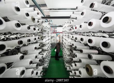 230628 -- TANGSHAN, 28 giugno 2023 -- un dipendente lavora in una società di imballaggio nella contea di Luannan, nella provincia di Hebei della Cina settentrionale, 27 giugno 2023. La contea di Luannan si è impegnata in uno sviluppo di alta qualità concentrandosi sulla promozione di imprese con tecnologie innovative e di alto livello. CHINA-HEBEI-ENTERPRISE-PRODUCTION CN YangxShiyao PUBLICATIONxNOTxINxCHN Foto Stock