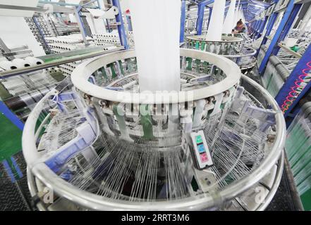 230628 -- TANGSHAN, 28 giugno 2023 -- un dipendente lavora in una società di imballaggio nella contea di Luannan, nella provincia di Hebei della Cina settentrionale, 27 giugno 2023. La contea di Luannan si è impegnata in uno sviluppo di alta qualità concentrandosi sulla promozione di imprese con tecnologie innovative e di alto livello. CHINA-HEBEI-ENTERPRISE-PRODUCTION CN YangxShiyao PUBLICATIONxNOTxINxCHN Foto Stock