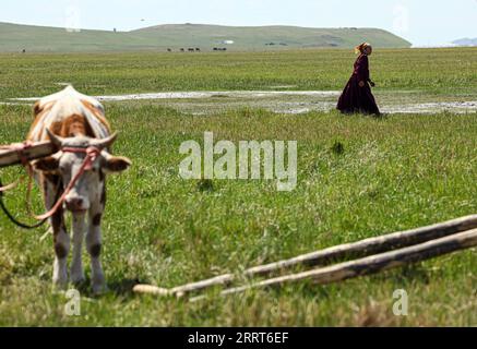 230702 -- HULUN BUIR, 2 luglio 2023 -- Una donna cammina sulla prateria a Hulun Buir, nella regione autonoma della Mongolia interna della Cina settentrionale, 1 luglio 2023. CHINA-INNER MONGOLIA-HULUN BUIR-VIEW CN LANXHONGGUANG PUBLICATIONXNOTXINXCHN Foto Stock