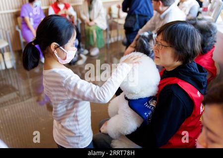 230703 -- SHANGHAI, 3 luglio 2023 -- Una ragazza interagisce con un cane terapeutico sotto la guida di un volontario a Shanghai, Cina orientale, 15 aprile 2023. DA SEGUIRE in tutta la Cina: I compagni pelosi estendono le zampe curative agli esseri umani I COMPAGNI PELOSI CINESI-ANZIANI-PELOSI CN ZhaoxJiale PUBLICATIONxNOTxINxCHN Foto Stock